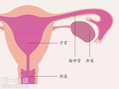 青春期宫血最新疗法解析